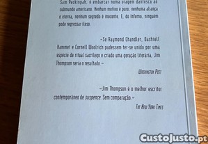 imagem_2