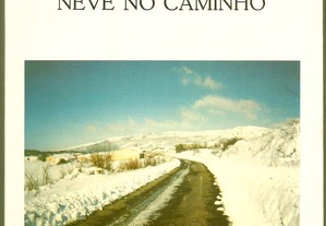 Manuel de Oliveira Faria - Neve no Caminho (1994)