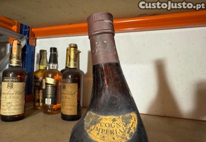 imagem_4