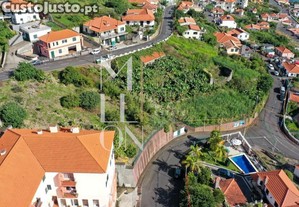 imagem_4