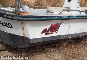 Barco Boston whaler