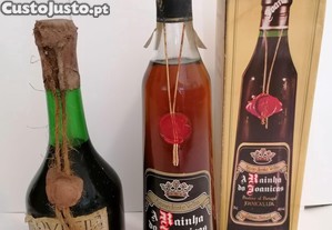 imagem_1