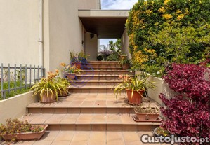 imagem_39
