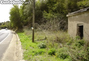 imagem_2