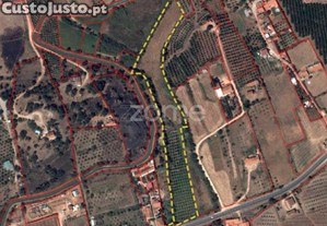 Terreno Rústico Com Água E Energia 13.000 M²,...