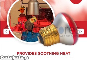 Lmpada de infravermelhos Vision - 25 W