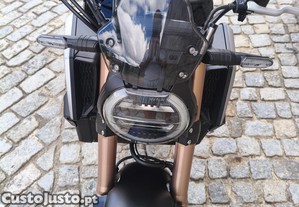 imagem_9