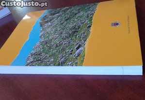 imagem_10