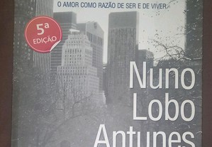 Sinto muito, de Nuno Lobo Antunes.