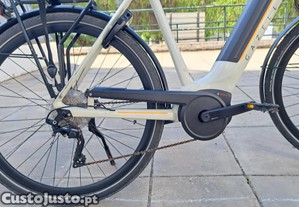 Gazelle Ultimate T10