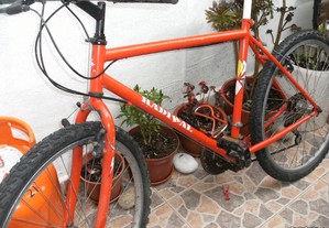 Bicicleta vermelha