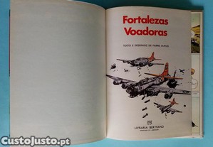 imagem_3