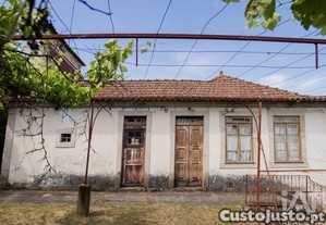 imagem_22