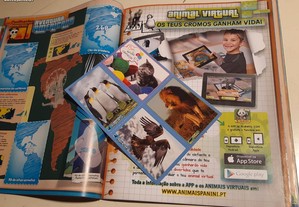 imagem_3