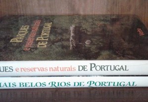 imagem_2