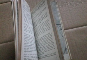imagem_7