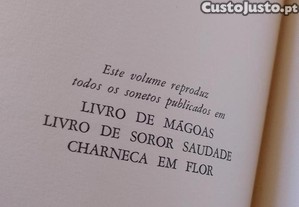 imagem_12