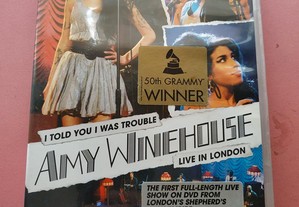 Amy Winehouse - I Told you I Was Trouble