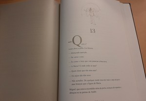 imagem_11