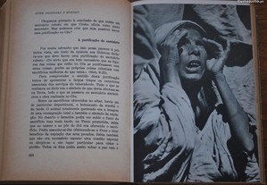 imagem_8