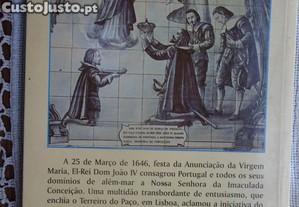 imagem_5