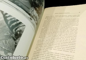 imagem_9