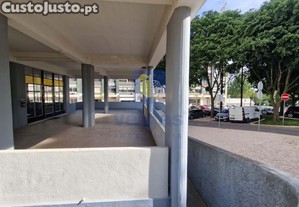 imagem_11
