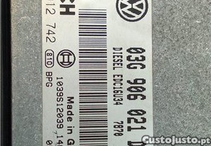 imagem_5