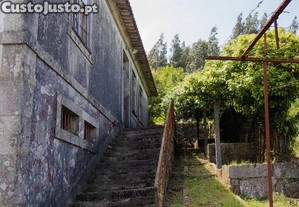 imagem_19