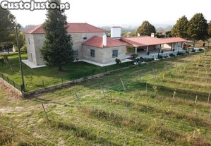 imagem_11