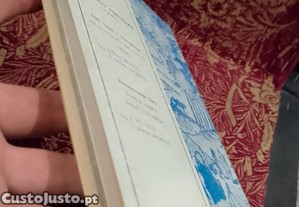 imagem_11