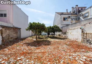 imagem_7