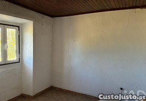 imagem_11