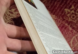 imagem_6