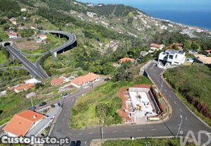 imagem_11