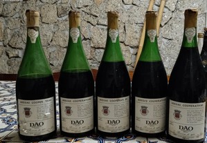 5 garrafas Udaca Reserva 1980 1,5l
