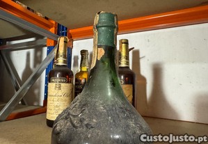 imagem_4