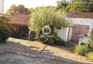 imagem_17
