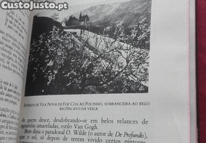 imagem_13