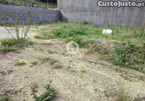 imagem_11