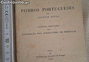 imagem_8