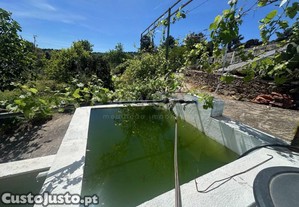 imagem_11