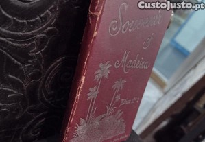 imagem_2