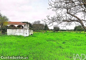 imagem_25