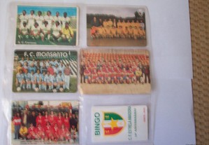 imagem_5