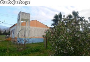 imagem_21