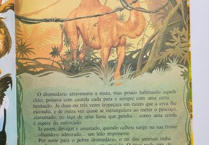 imagem_4