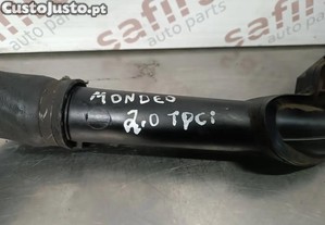 imagem_3