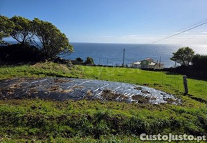 imagem_10