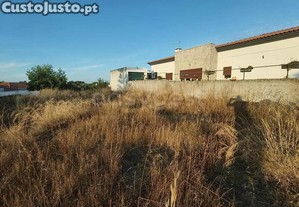 imagem_7